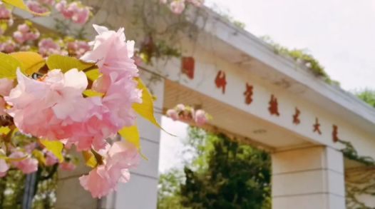 1618285670495213.png image.png