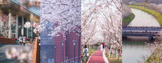 1618289095570431.png image.png