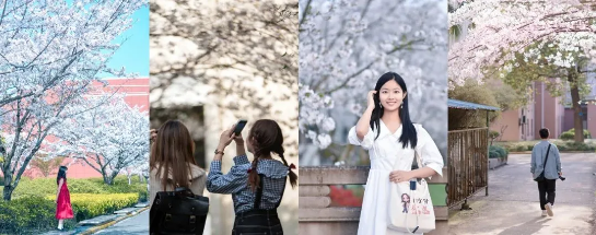 1618289123406265.png image.png