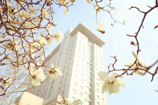 1618290126195943.png image.png