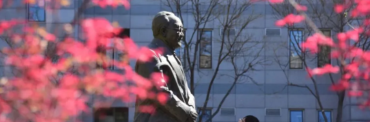 1618290140968924.png image.png